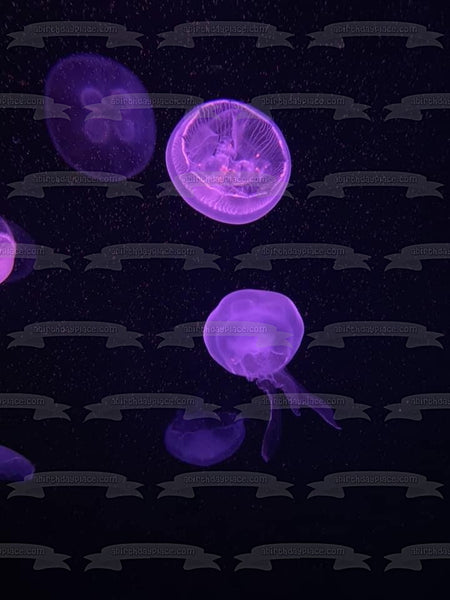 Bio-Luminescent Jellyfish Ocean Nature Aquatic Animal Edible Cake Topper Image ABPID53274