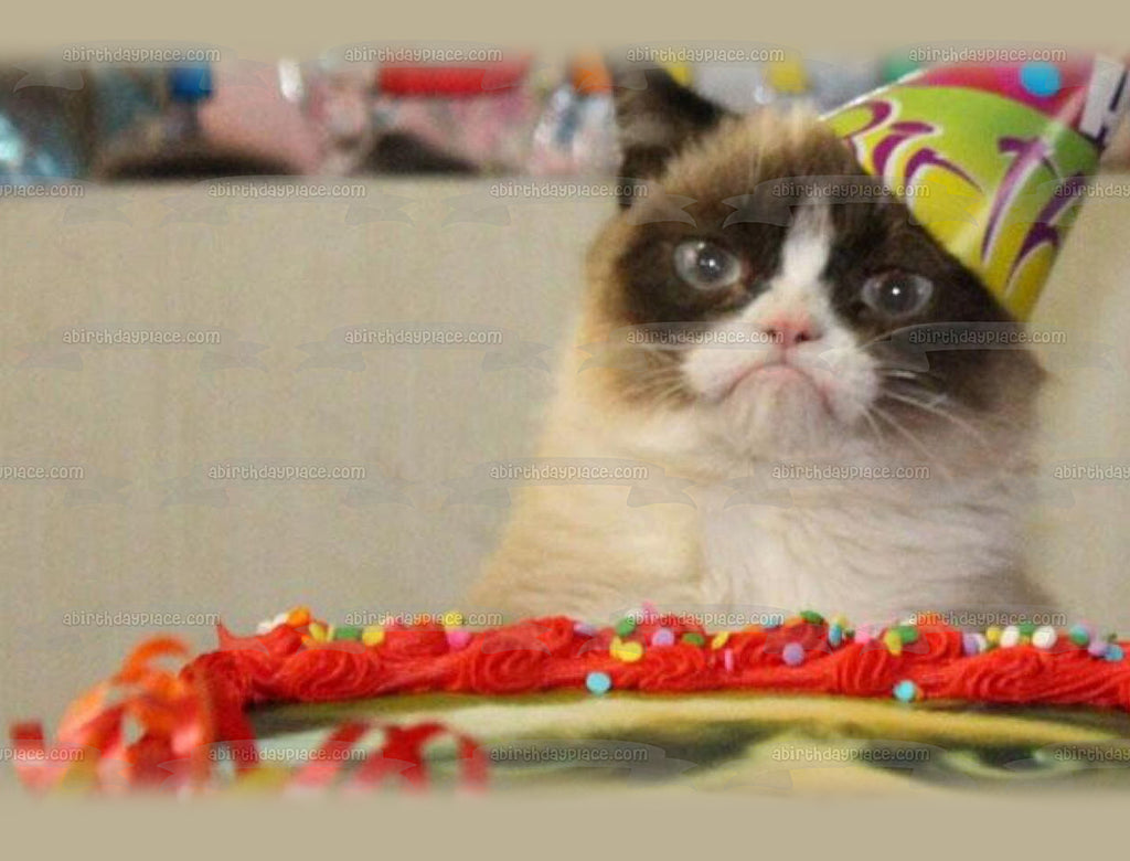 Grumpy Cat Birthday Hat