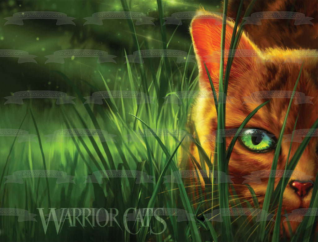 Warrior Cat Firestar