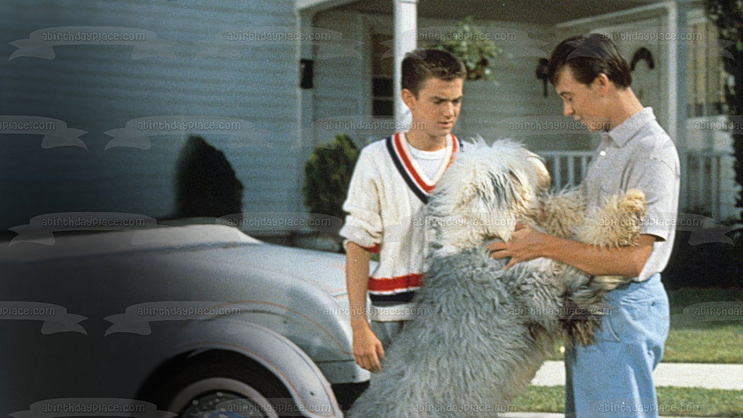 Decoración comestible para tarta con diseño de perro peludo, Wilson y Wilby, imagen ABPID57074 