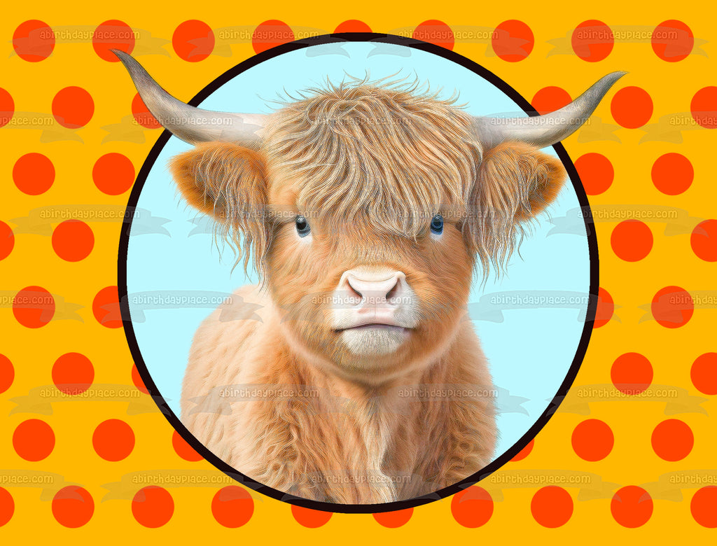 Baby Highland Cow Edible Cake Topper Image ABPID57437 – A Birthday