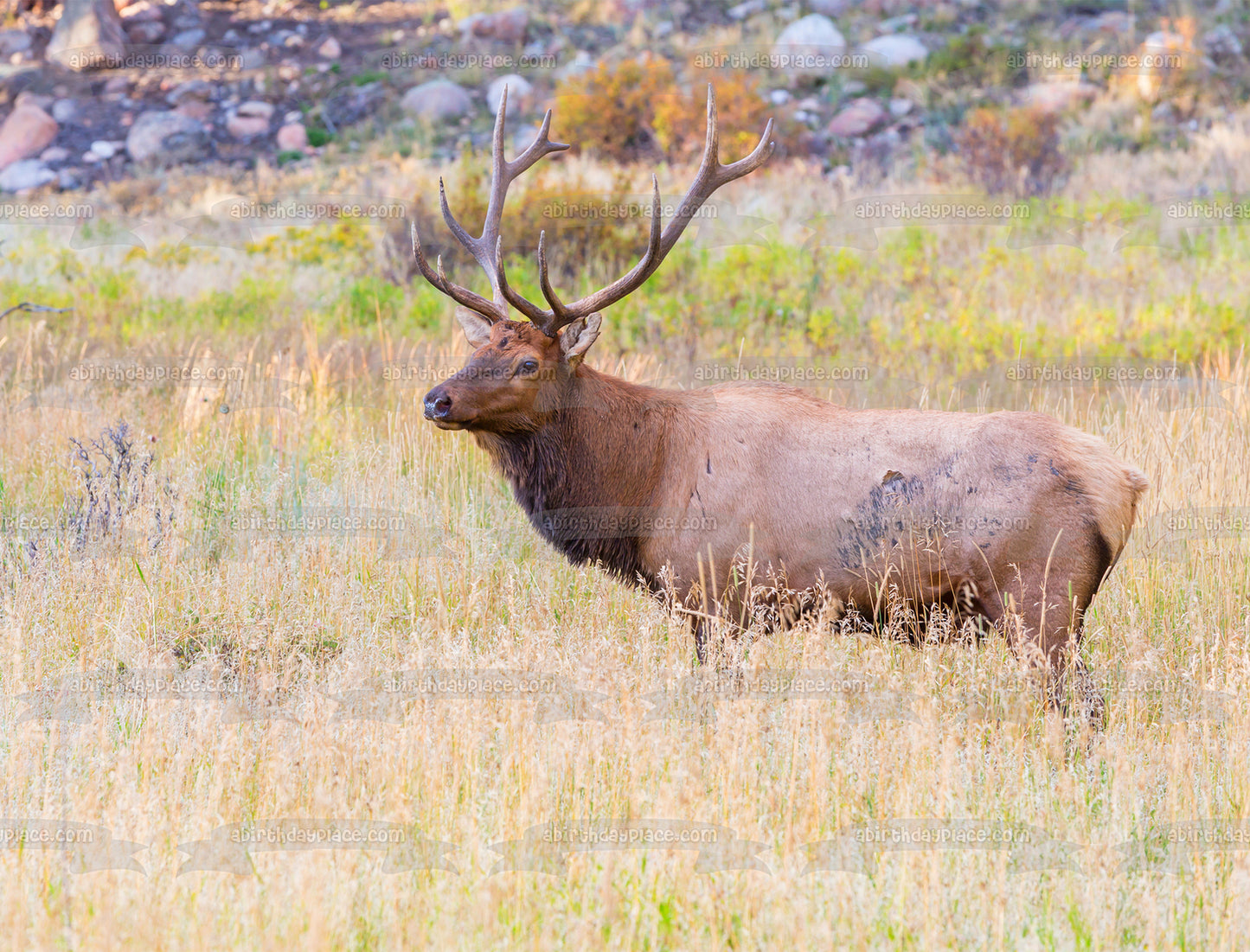 Imagen de adorno comestible para pastel de hierba seca de caza de alces ABPID57716 