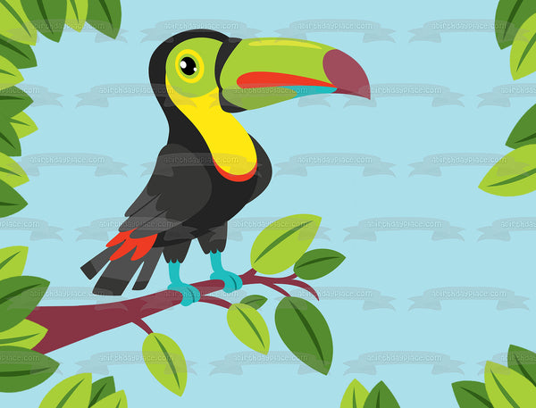 Toucan Illustration Edible Cake Topper Image ABPID57748