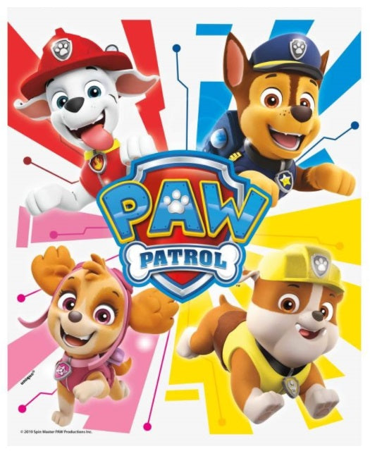 Paw Patrol Loot Bags, 8ct