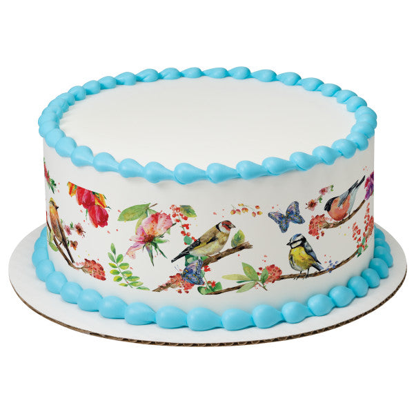 Springtime Birds Edible Cake Topper Image Strips