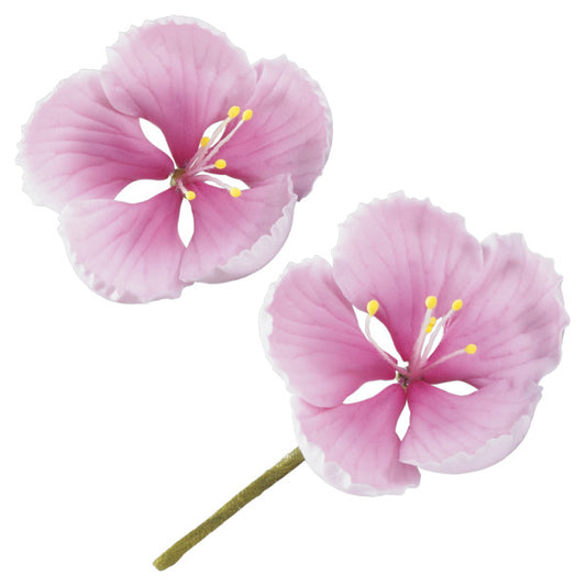 Cherry Blossoms Gum Paste Flowers