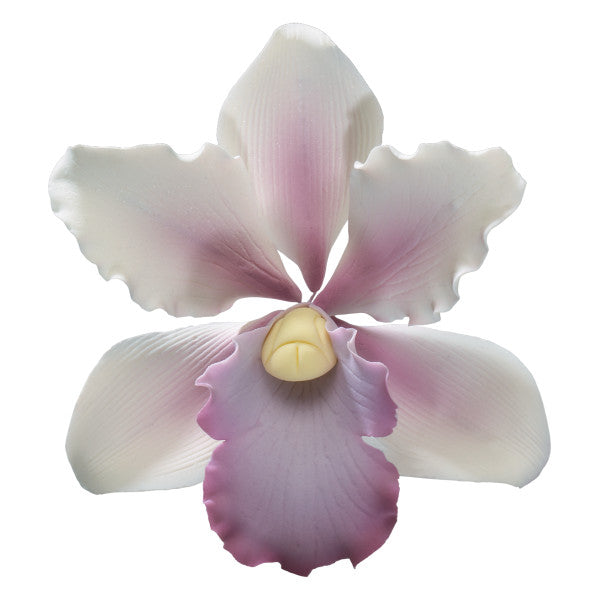 Tropical Orchid Gum Paste Flowers