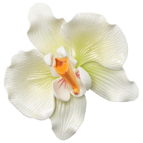 Orchid Gum Paste Flowers